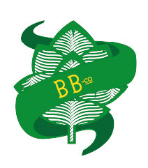 BBANDCO-LOGO-e1758154079108-2