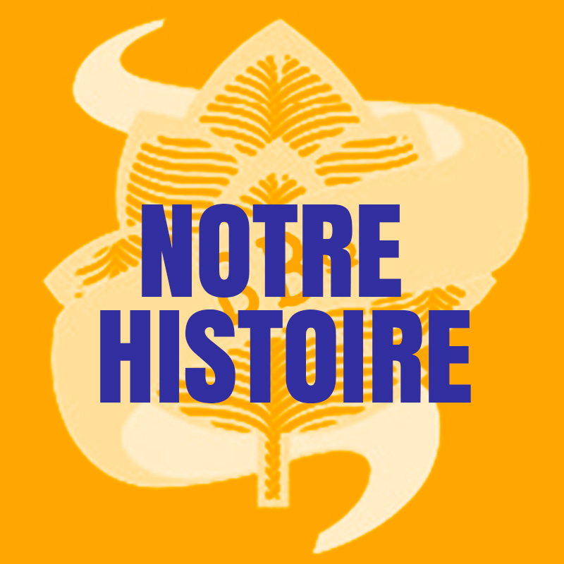 bbandco-img-histoire